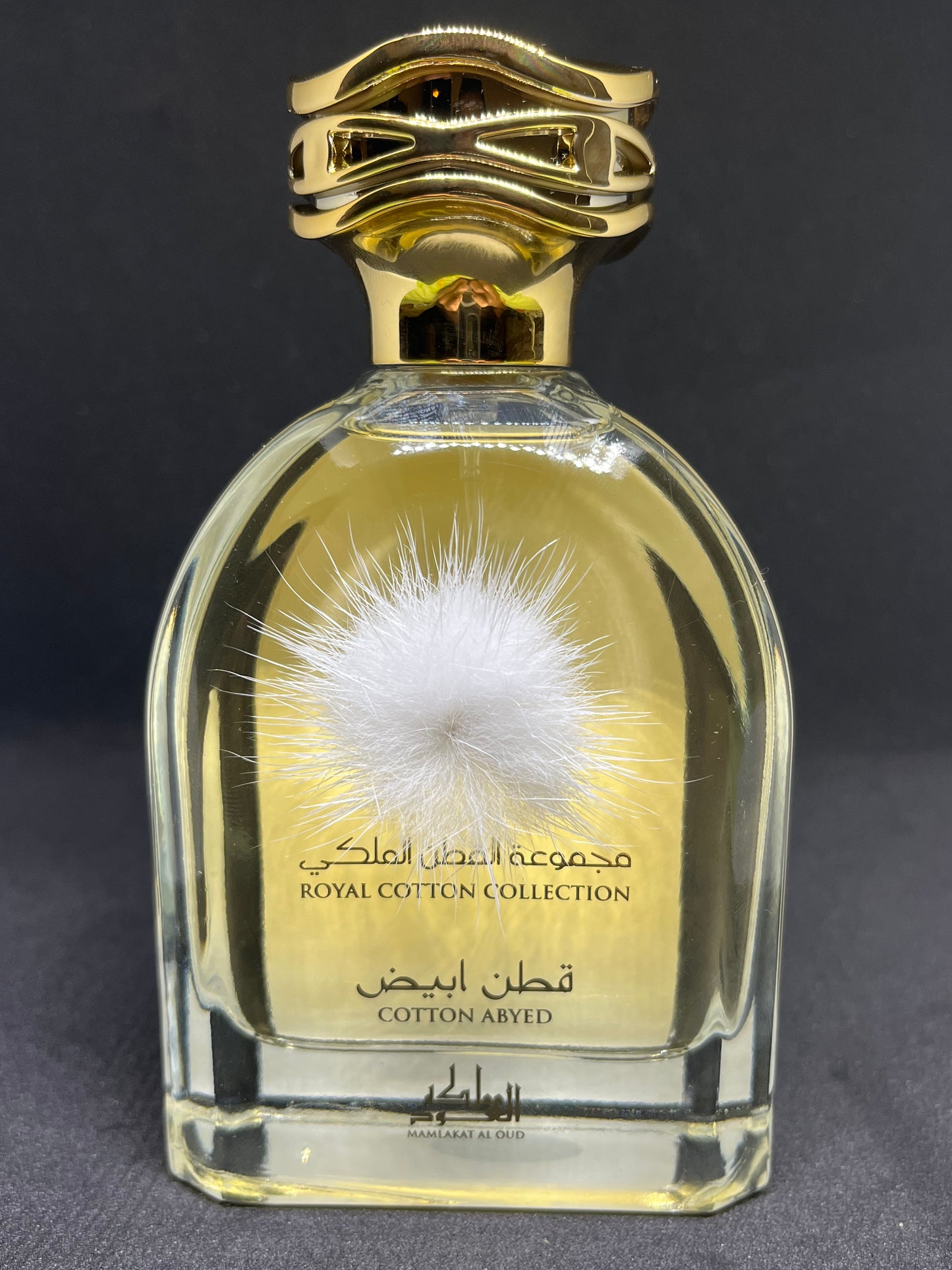 Cotton Abyed